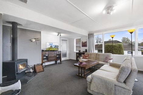 Photo of property in 90 Reservoir Street, Putaruru, 3411