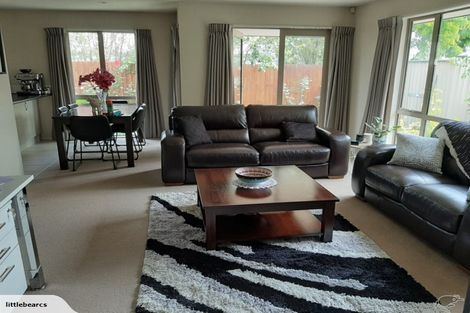 Photo of property in 20a Plunket Street, Spreydon, Christchurch, 8024