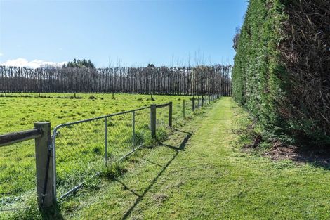 Photo of property in 104 Neeves Road, Kaiapoi, 7691