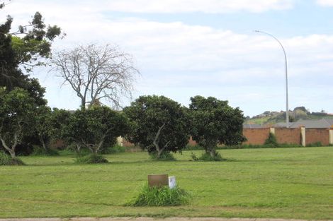 Photo of property in 10 Allington Place, Bethlehem, Tauranga, 3110