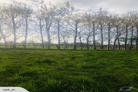 Photo of property in 8 Maggie Place, Te Kauwhata, 3710