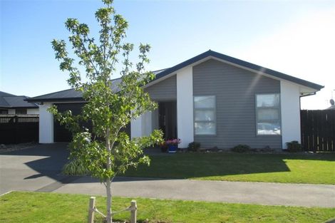 Photo of property in 43 Te Whenu Crescent, Marshland, Christchurch, 8083