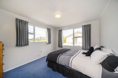 Photo of property in 107 Dittmer Drive, West End, Palmerston North, 4412