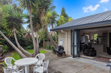 Photo of property in 55 Bridge Street, Whakatane, 3120