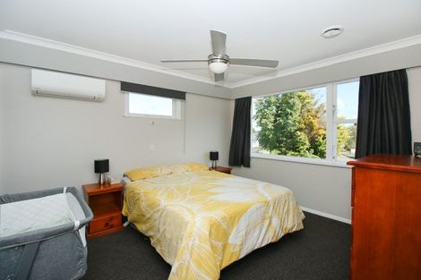 Photo of property in 14 Viscount Place, West End, Palmerston North, 4412