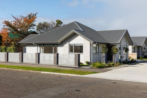 Photo of property in 14b Knowles Street, Terrace End, Palmerston North, 4410