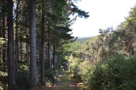 Photo of property in 478 Port Charles Road, Waikawau, Coromandel, 3584