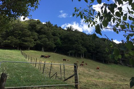 Photo of property in 43 Charles Walton Road, Maungatapere, Whangarei, 0179