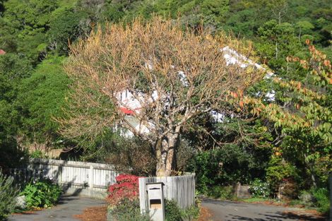 Photo of property in 8g Tawa Street, Eastbourne, Lower Hutt, 5013