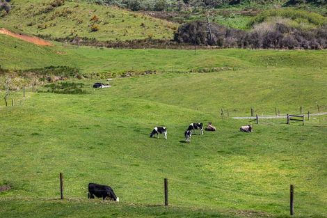 Photo of property in 231 Hart Road, Pukekohe, 2676