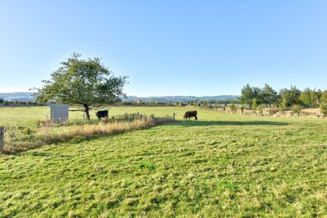 Photo of property in 62 Bowmar Road, Waimumu, Gore, 9774