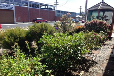 Photo of property in 41a Rona Street, Saint Kilda, Dunedin, 9012