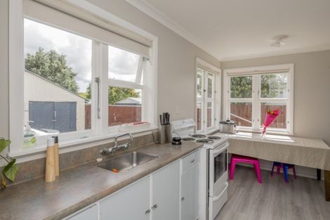 Photo of property in 9 Ferguson Street, Levin, 5510