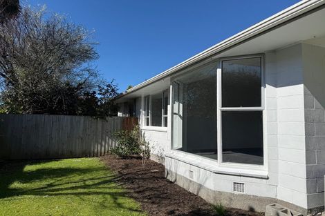 Photo of property in 1/49 Waimea Terrace, Beckenham, Christchurch, 8023