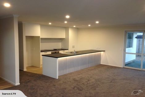 Photo of property in 9 Campari Drive, Richmond, 7020