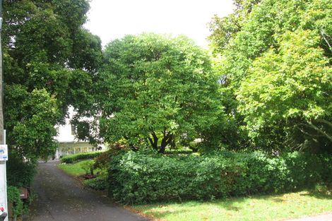 Photo of property in 23 Mount St John Avenue, Epsom, Auckland, 1051