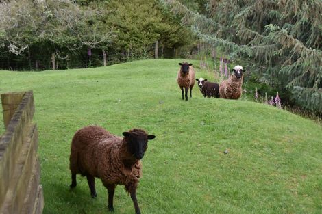 Photo of property in 2005 Ongarue Stream Road, Waimiha, 3998