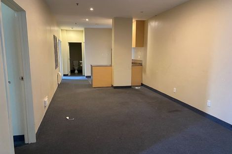 Photo of property in Hanson House, 1a/27 Hanson Street, Mount Cook, Wellington, 6021