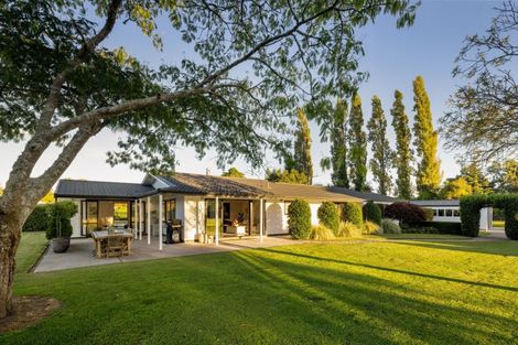 Photo of property in 48 Peake Road, Cambridge, Hamilton, 3283