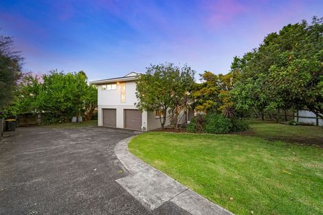 Photo of property in 55 Becroft Drive, Forrest Hill, Auckland, 0620