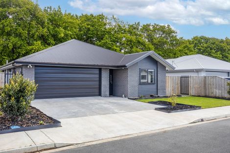 Photo of property in 3 Crossley Avenue, Woodend, 7610