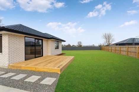 Photo of property in 5 Market Street, Lansdowne, Masterton, 5810