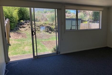Photo of property in 214 Panama Road, Mount Wellington, Auckland, 1062