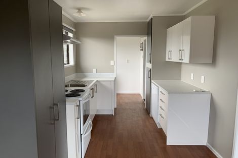 Photo of property in 45 Hooper Avenue, Pukekohe, 2120