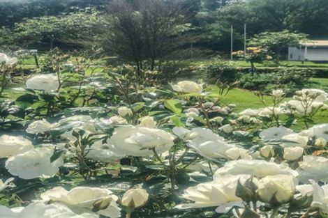 Photo of property in 20 Paraekaretu Street, Hunterville, 4730