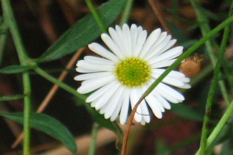 Photo of property in 7 Kamla Way, Khandallah, Wellington, 6035