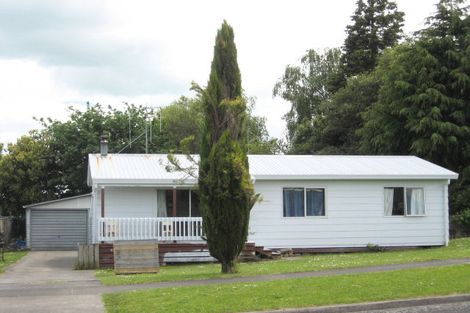 Photo of property in 117 Scott Street, Leamington, Cambridge, 3432