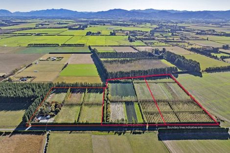 Photo of property in 599 Pesters Road, West Eyreton, 7475