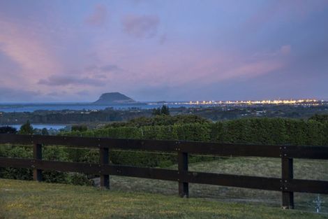 Photo of property in 198 Whakamarama Road, Whakamarama, Tauranga, 3179