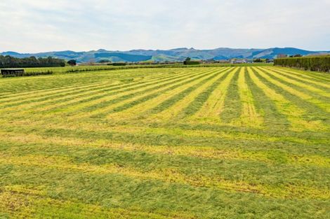 Photo of property in 268 Tancreds Road, Lincoln, Christchurch, 7672