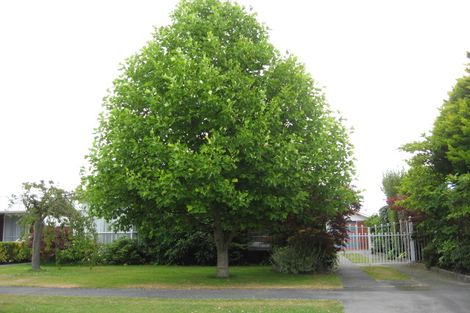 Photo of property in 17 Waratah Street, Avondale, Christchurch, 8061