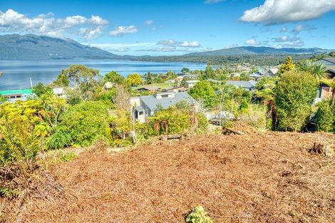 Photo of property in 8 Ivy Terrace, Moana, 7872