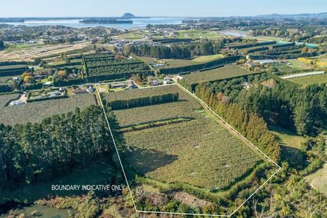 Photo of property in 69 Prole Road, Omokoroa, Tauranga, 3172