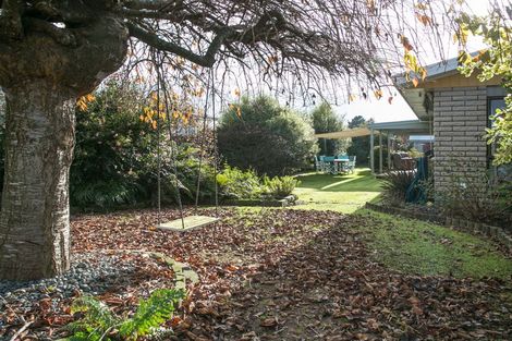 Photo of property in 8 Karo Place, Matamata, 3400