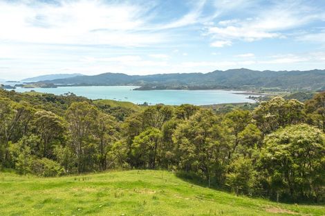 Photo of property in 1288 Manaia Road, Manaia, Coromandel, 3581