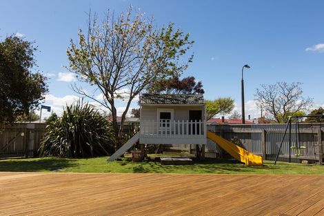 Photo of property in 38 Liverpool Street, Takaro, Palmerston North, 4412