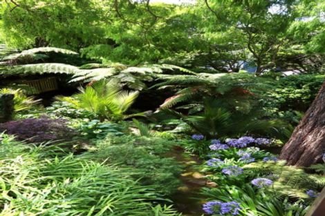 Photo of property in 65b Govett Avenue, Frankleigh Park, New Plymouth, 4310