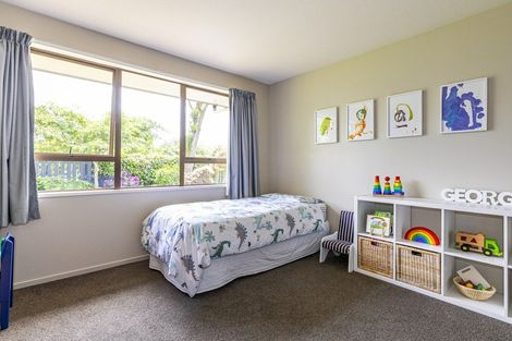 Photo of property in 47 Mayfield Klondyke Road, Mayfield, Ashburton, 7778