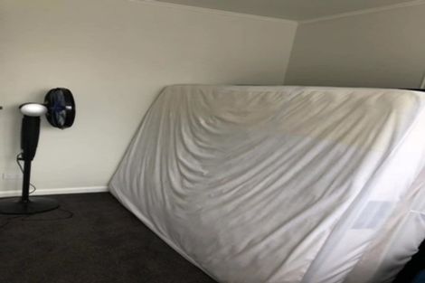 Photo of property in 28 Bond Street, Hamilton East, Hamilton, 3216