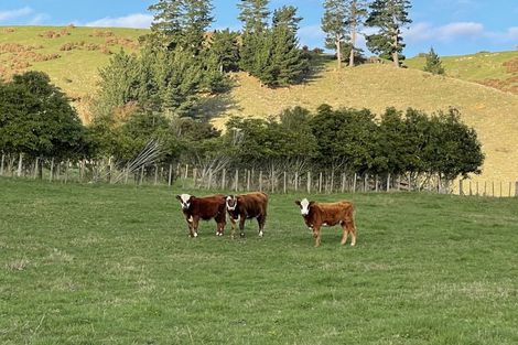 Photo of property in 8276 Paeroa Kopu Road, Hikutaia, Paeroa, 3674