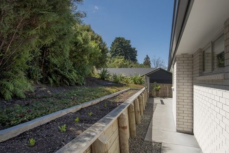 Photo of property in 30 Cheese Factory Lane, Brookfield, Tauranga, 3110