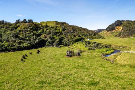 Photo of property in 4020 Mokau Road, Tongaporutu, Urenui, 4376