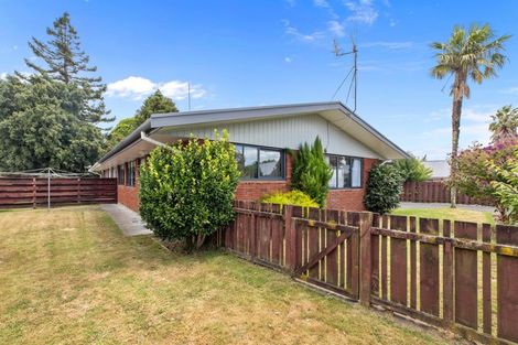 Photo of property in 29 Collingwood Street, Judea, Tauranga, 3110