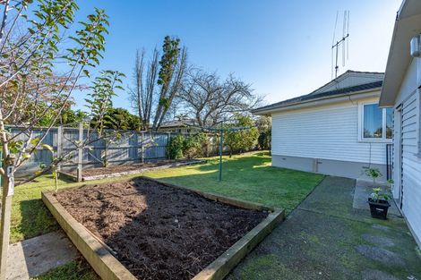 Photo of property in 17 Durham Street, Nawton, Hamilton, 3200