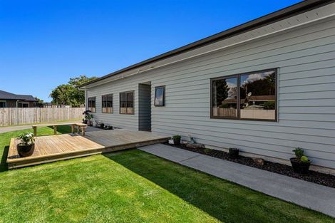 Photo of property in 6 Olive Grove, Edgecumbe, 3120