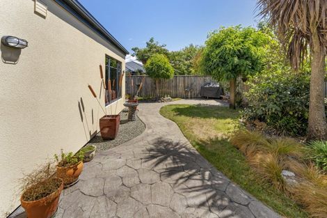 Photo of property in 21 Templemore Drive, Richmond, 7020